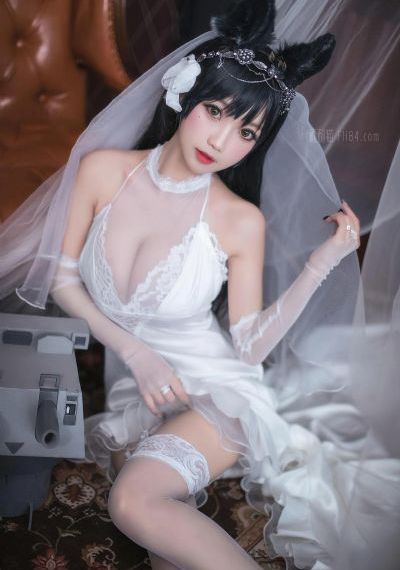 斗罗大陆免费在线观看