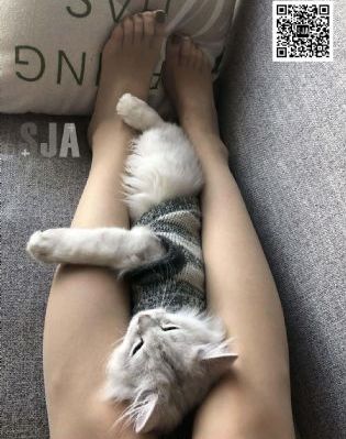 九牛影视
