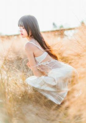 满天星法版免费观看