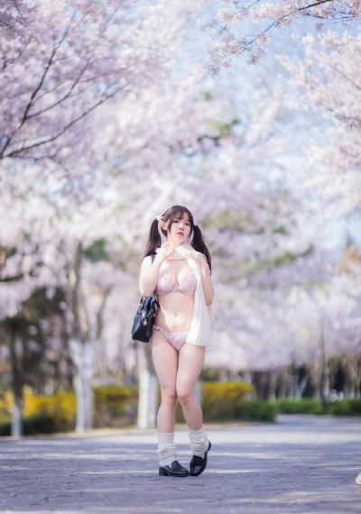 最热电视剧2024热播最火剧