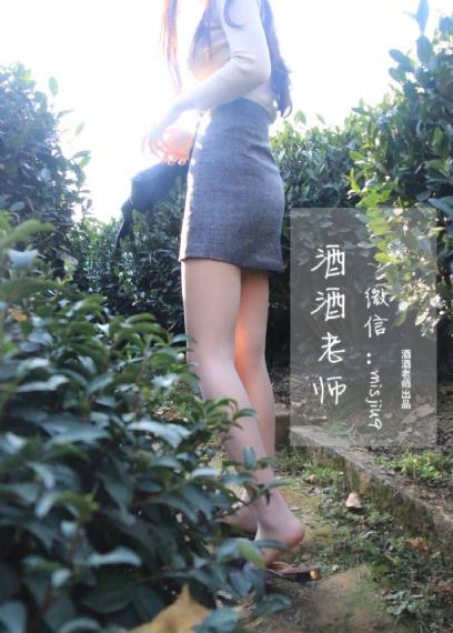 公安局长3