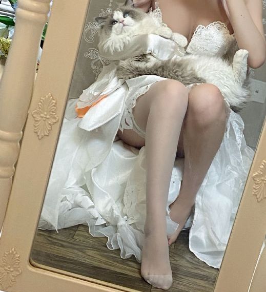 潮与虎