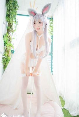 宅宅网