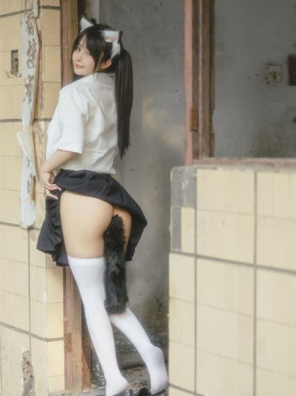 忠诚电视剧20全集完整版免费观看