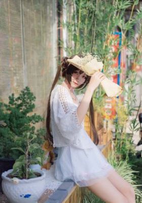 莲花楼