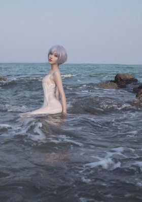 野蔷薇